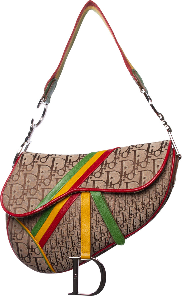 Christian dior 2025 rasta saddle bag