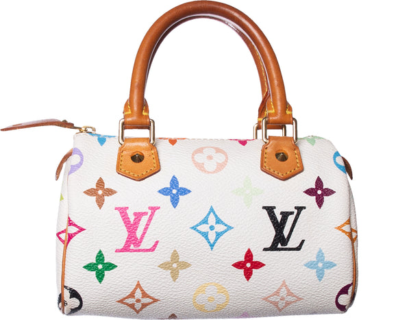 Louis Vuitton Multicolor Mini Speedy Bag