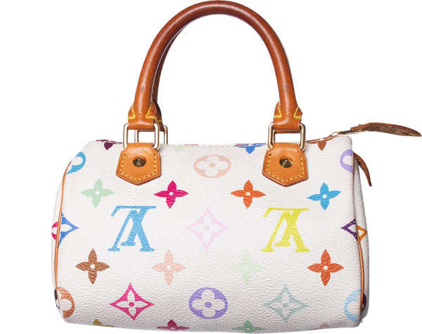 Louis Vuitton Multicolor Mini Speedy Bag