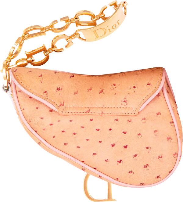 Christian Dior Fall 2000 Embellished Wristlet Saddle Bag