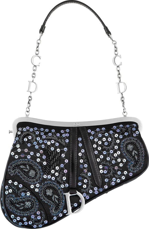 Christian Dior Limited Edition Embellished Saddle Bag